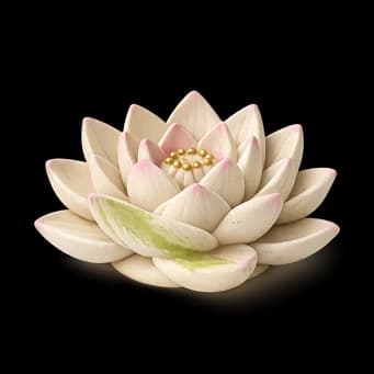 A ceramic lotus — a calm money conversation